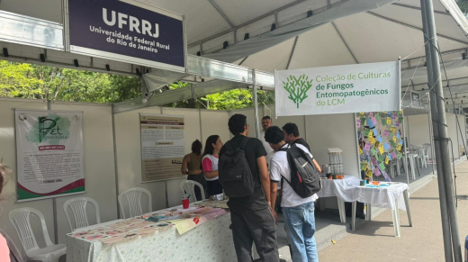 WhatsApp Image 2025-11-14 at 15.34.37