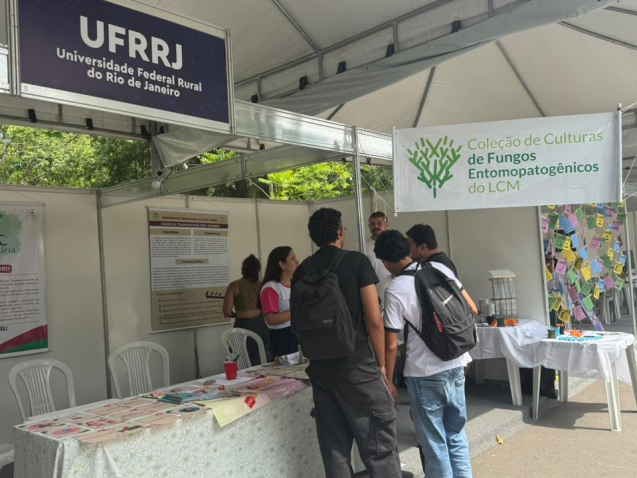 WhatsApp Image 2025-11-14 at 15.34.37